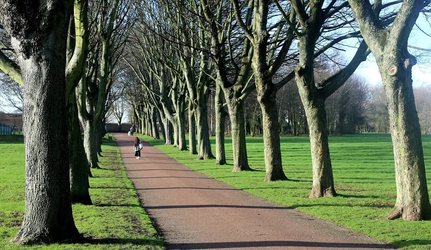 Rotherham, South Yorkshire — where Mazuli supplies aluminium windows